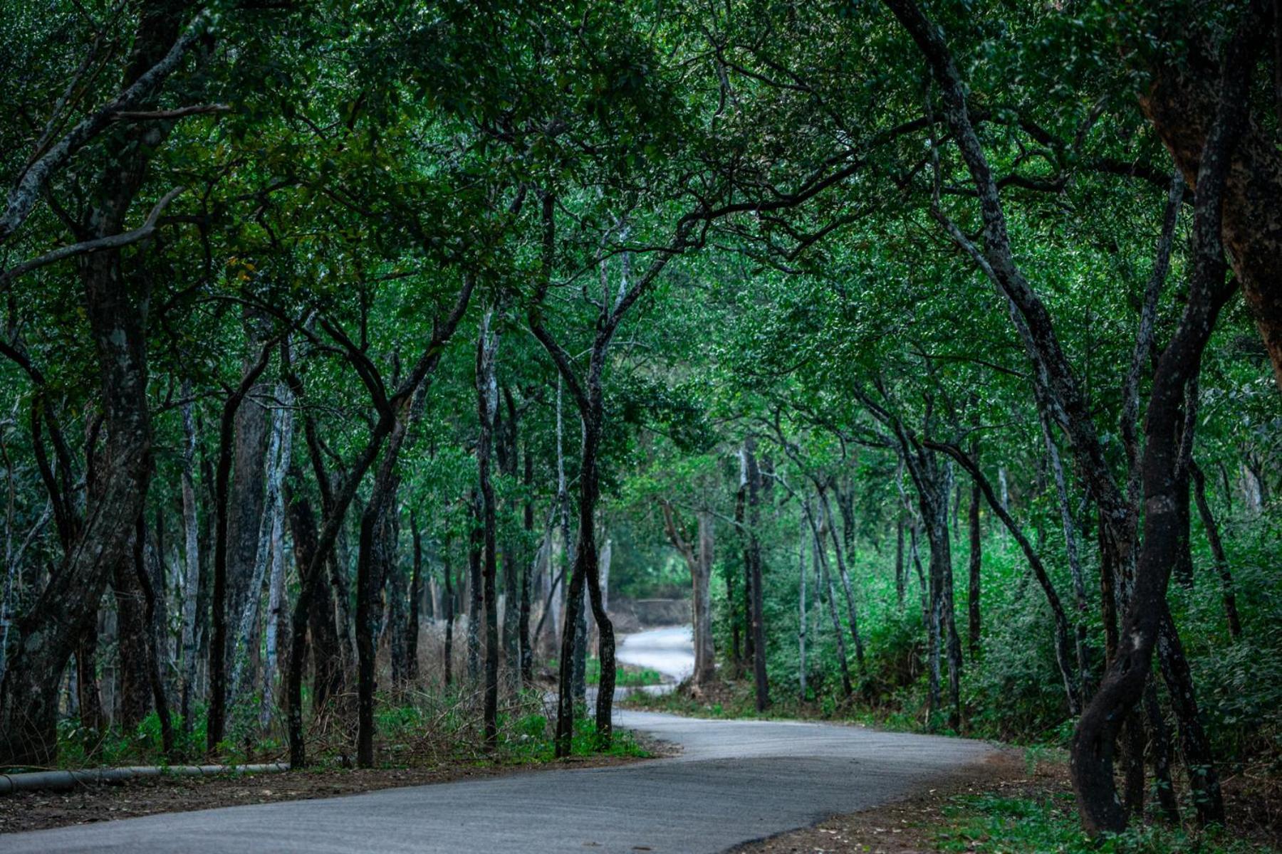 Nature Tones By Brdge Hospitality Maraiyūr Dış mekan fotoğraf