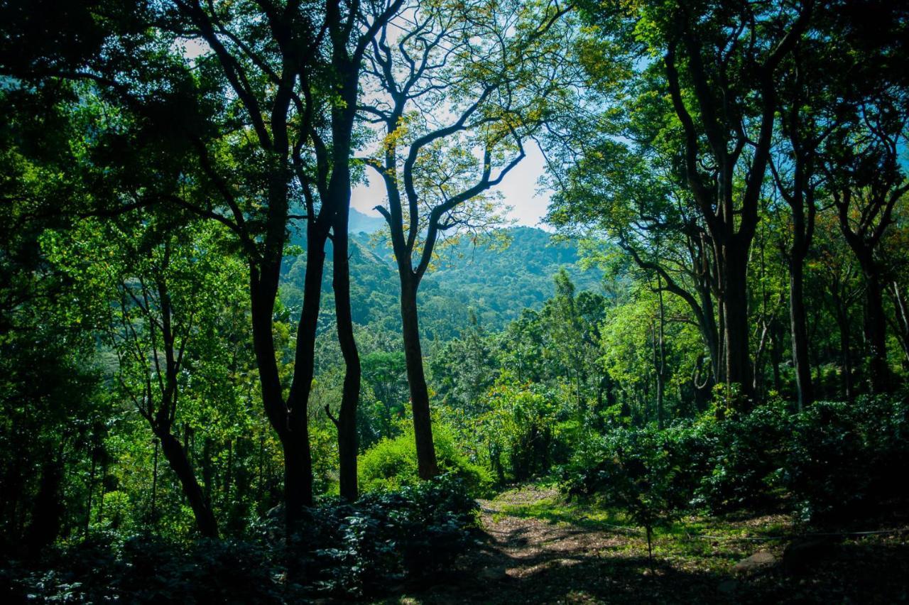 Nature Tones By Brdge Hospitality Maraiyūr Dış mekan fotoğraf